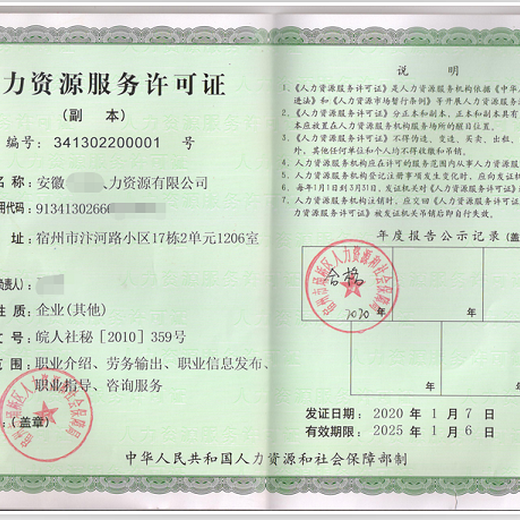 东丽申办劳务派遣经营许可证的要求,人力资源服务许可证
